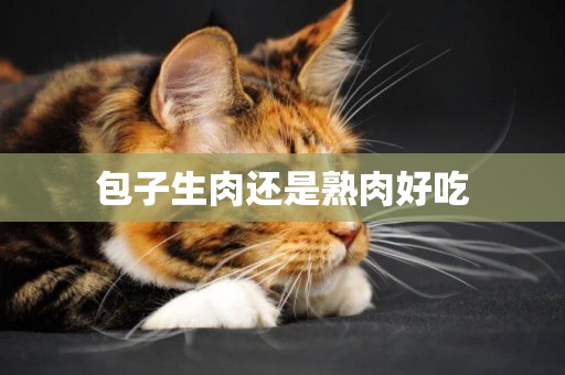包子生肉還是熟肉好吃