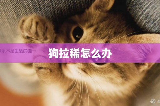 狗拉稀怎么辦