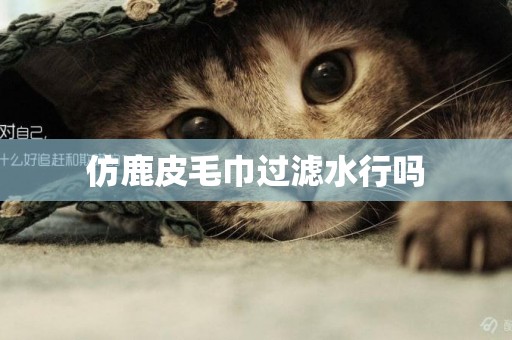 仿鹿皮毛巾過濾水行嗎