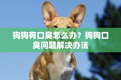 狗狗有口臭怎么辦？狗狗口臭問題解決辦法