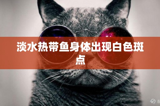 淡水熱帶魚身體出現白色斑點