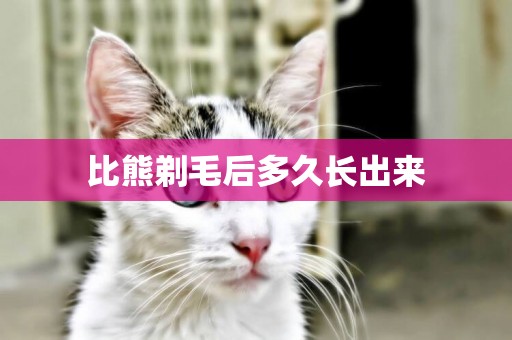 比熊剃毛后多久長出來