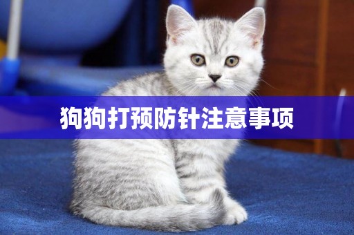 狗狗打預防針注意事項