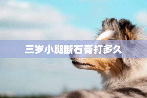 三歲小腿斷石膏打多久