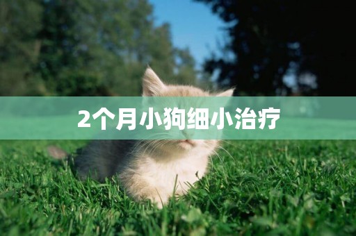 2個月小狗細小治療