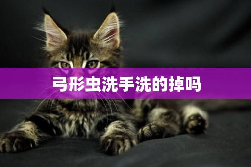 弓形蟲洗手洗的掉嗎