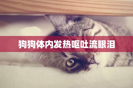 狗狗體內發熱嘔吐流眼淚