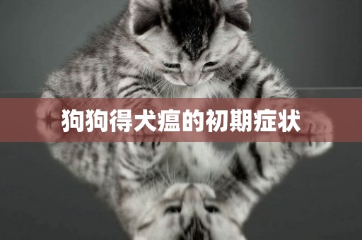 狗狗得犬瘟的初期癥狀