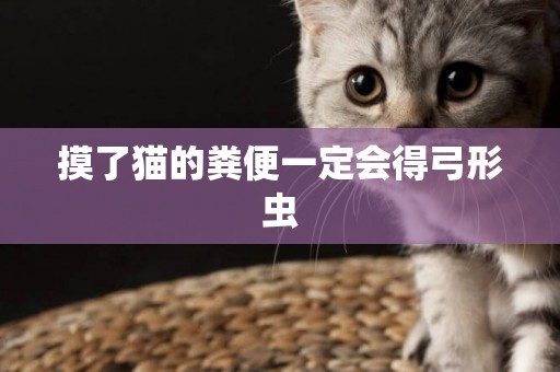 摸了貓的糞便一定會得弓形蟲