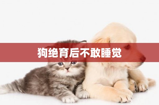 狗絕育后不敢睡覺