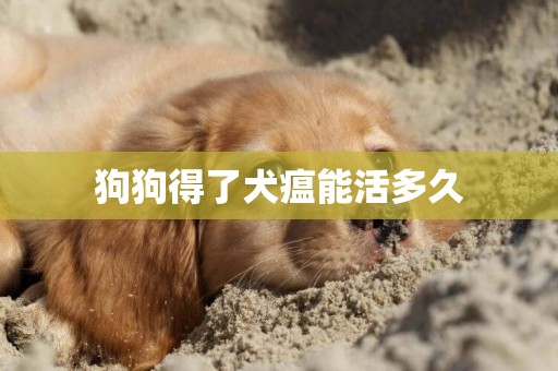 狗狗得了犬瘟能活多久