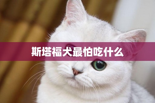 斯塔福犬最怕吃什么