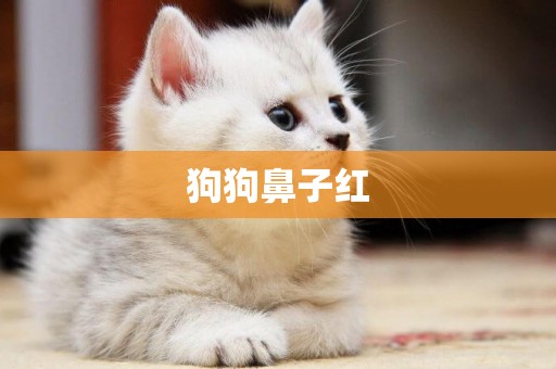 狗狗鼻子紅