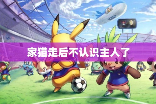 家貓走后不認識主人了