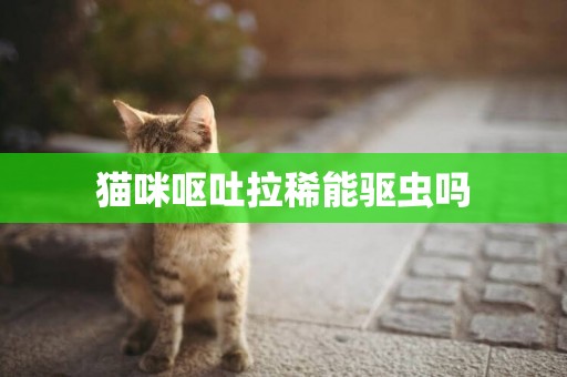 貓咪嘔吐拉稀能驅蟲嗎