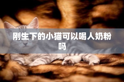 剛生下的小貓可以喝人奶粉嗎