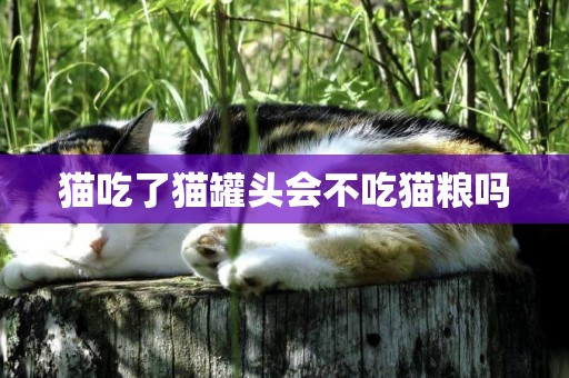 貓吃了貓罐頭會不吃貓糧嗎