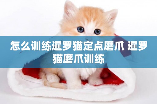 怎么訓練暹羅貓定點磨爪 暹羅貓磨爪訓練