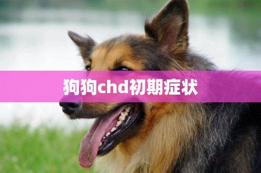 狗狗chd初期癥狀