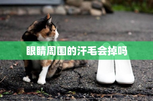 眼睛周圍的汗毛會掉嗎
