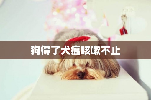 狗得了犬瘟咳嗽不止