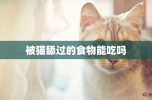 被貓舔過的食物能吃嗎