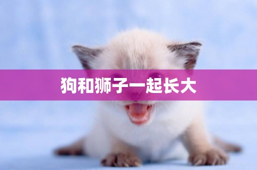 狗和獅子一起長大