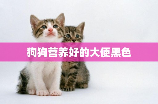 狗狗營養好的大便黑色
