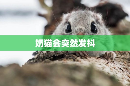 奶貓會突然發抖