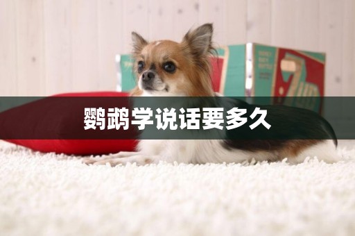 鸚鵡學說話要多久