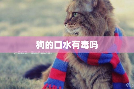 狗的口水有毒嗎