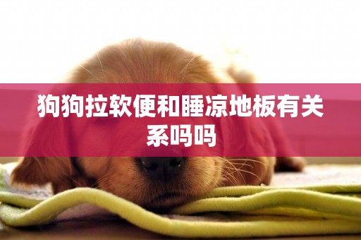 狗狗拉軟便和睡涼地板有關系嗎嗎