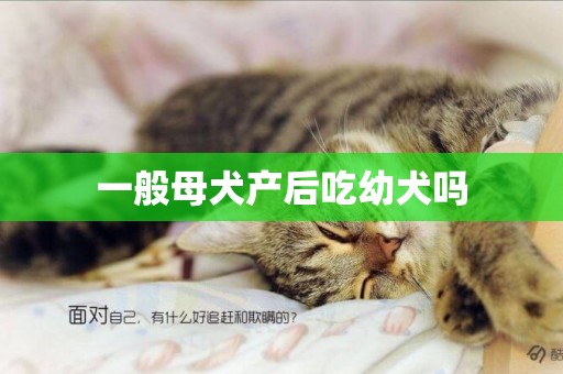一般母犬產后吃幼犬嗎