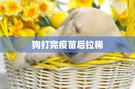 狗打完疫苗后拉稀