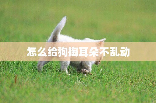 怎么給狗掏耳朵不亂動