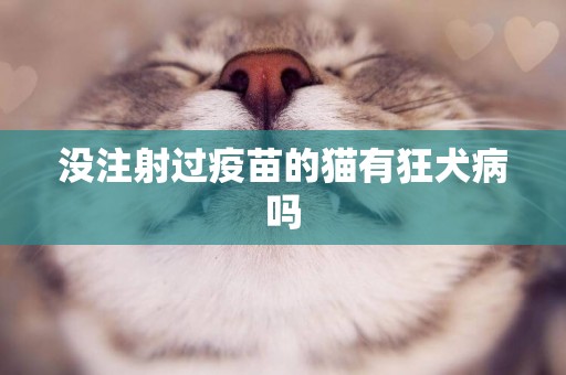 沒注射過疫苗的貓有狂犬病嗎
