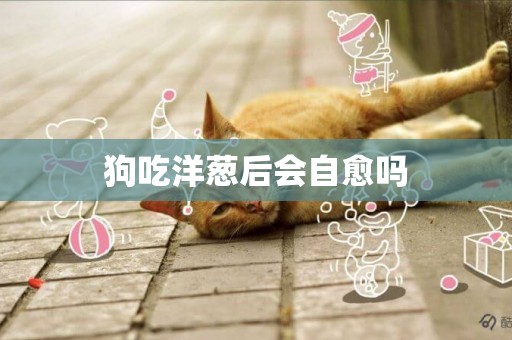 狗吃洋蔥后會自愈嗎