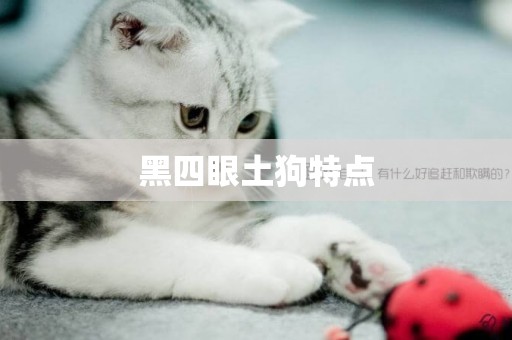 黑四眼土狗特點