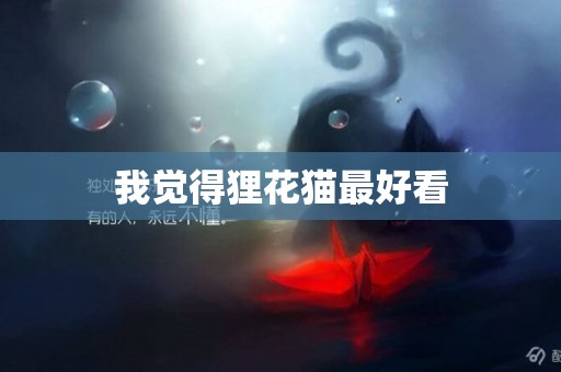 我覺得貍花貓最好看