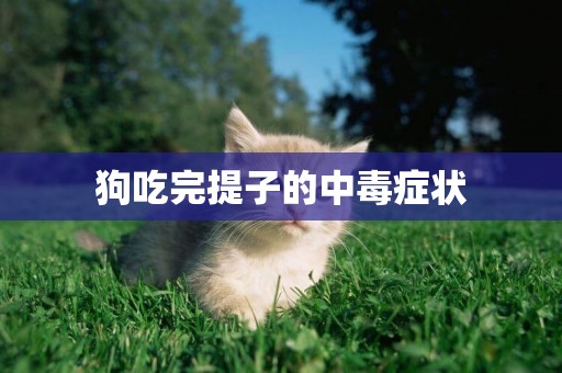 狗吃完提子的中毒癥狀