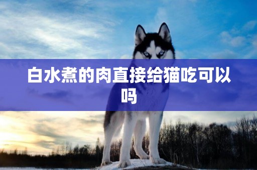 白水煮的肉直接給貓吃可以嗎