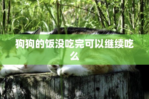 狗狗的飯沒吃完可以繼續吃么