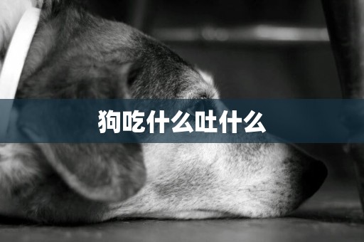 狗吃什么吐什么