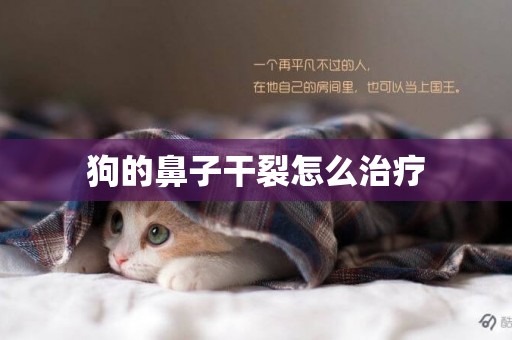 狗的鼻子干裂怎么治療