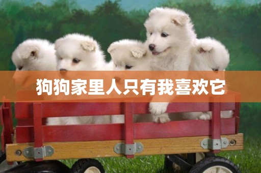 狗狗家里人只有我喜歡它