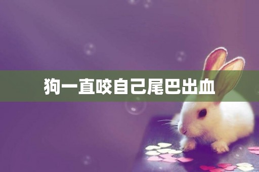 狗一直咬自己尾巴出血
