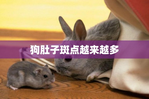 狗肚子斑點越來越多