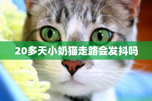 20多天小奶貓走路會發抖嗎