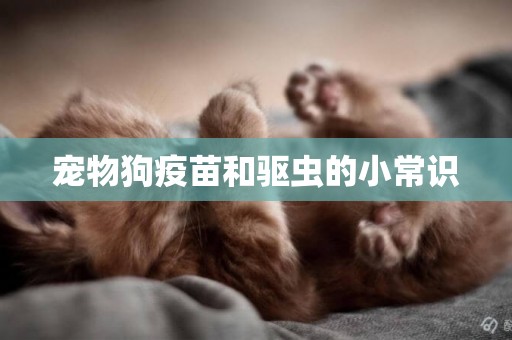寵物狗疫苗和驅蟲的小常識
