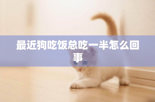 最近狗吃飯總吃一半怎么回事